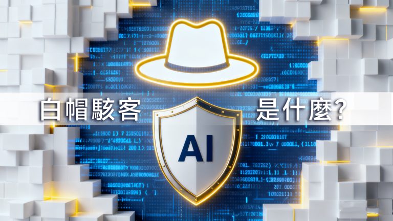 白帽SEO的穩健增長